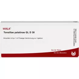 TONSILLAE palatinae GL D 30 Ampullen, 10X1 ml