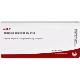 TONSILLAE palatinae GL D 30 Ampullen, 10X1 ml