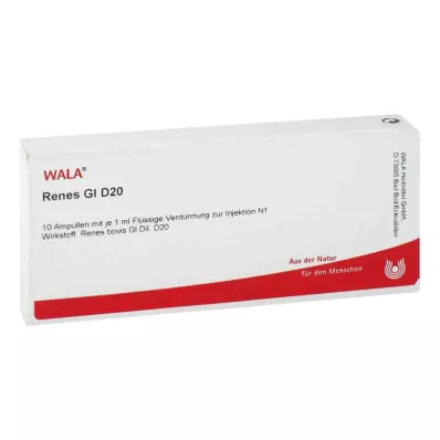 RENES GL D 20 Ampullen, 10X1 ml RENES GL D 20 Ampullen, 10X1 ml