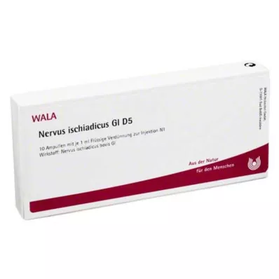 NERVUS ISCHIADICUS GL D 5 Ampullen, 10X1 ml