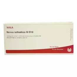 NERVUS ISCHIADICUS GL D 10 Ampullen, 10X1 ml
