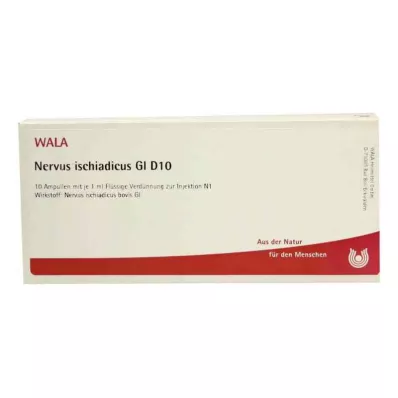 NERVUS ISCHIADICUS GL D 10 Ampullen, 10X1 ml NERVUS ISCHIADICUS GL D 10 Ampullen, 10X1 ml