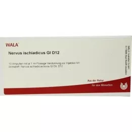 NERVUS ISCHIADICUS GL D 12 Ampullen, 10X1 ml