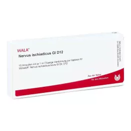 NERVUS ISCHIADICUS GL D 12 Ampullen, 10X1 ml