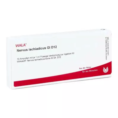 NERVUS ISCHIADICUS GL D 12 Ampullen, 10X1 ml NERVUS ISCHIADICUS GL D 12 Ampullen, 10X1 ml