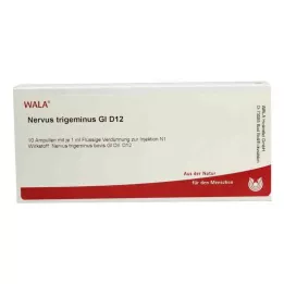 NERVUS TRIGEMINUS GL D 12 Ampullen, 10X1 ml