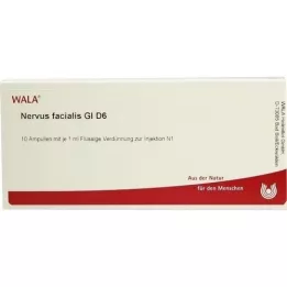 NERVUS FACIALIS GL D 6 Ampullen, 10X1 ml