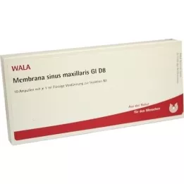 MEMBRANA sinus maxillaris GL D 8 Ampullen, 10X1 ml