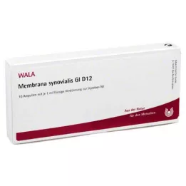 MEMBRANA synovialis GL D 12 Ampullen, 10X1 ml