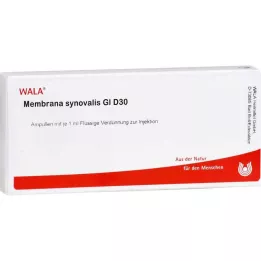 MEMBRANA synovialis GL D 30 Ampullen, 10X1 ml