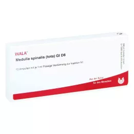 MEDULLA SPINALIS tota GL D 8 Ampullen, 10X1 ml