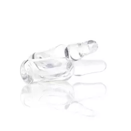 LIEN GL D 12 Ampullen, 10X1 ml