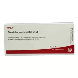 GLANDULAE SUPRARENALES GL D 5 Ampullen, 10X1 ml