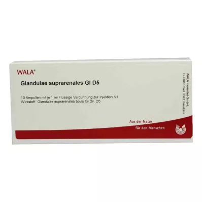 GLANDULAE SUPRARENALES GL D 5 Ampullen, 10X1 ml
