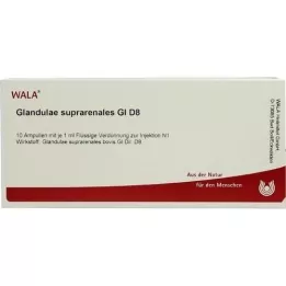 GLANDULAE SUPRARENALES GL D 8 Ampullen, 10X1 ml