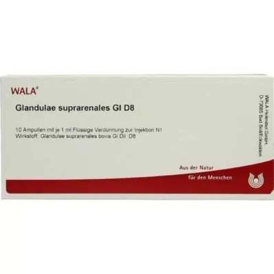 GLANDULAE SUPRARENALES GL D 8 Ampullen, 10X1 ml