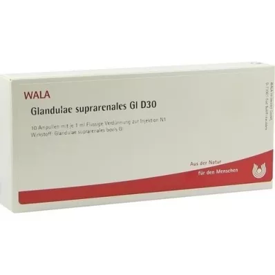 GLANDULAE SUPRARENALES GL D 30 Ampullen, 10X1 ml