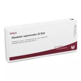 GLANDULAE SUPRARENALES GL D 30 Ampullen, 10X1 ml
