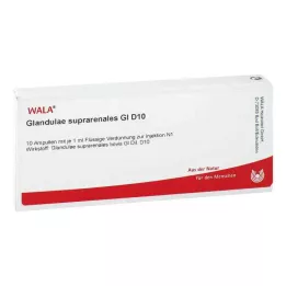 GLANDULAE SUPRARENALES GL D 10 Ampullen, 10X1 ml
