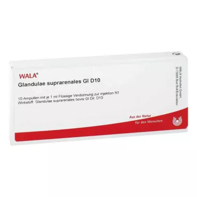 GLANDULAE SUPRARENALES GL D 10 Ampullen, 10X1 ml
