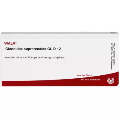GLANDULAE SUPRARENALES GL D 12 Ampullen, 10X1 ml