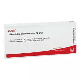 GLANDULAE SUPRARENALES GL D 12 Ampullen, 10X1 ml