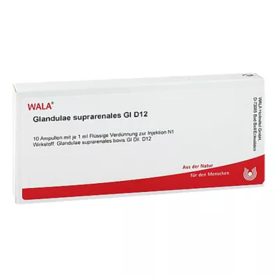 GLANDULAE SUPRARENALES GL D 12 Ampullen, 10X1 ml