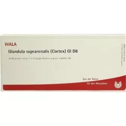 GLANDULA SUPRARENALIS cortex GL D 8 Ampullen, 10X1 ml