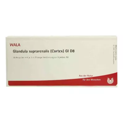 GLANDULA SUPRARENALIS cortex GL D 8 Ampullen, 10X1 ml