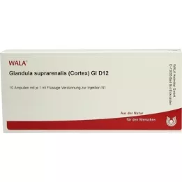 GLANDULA SUPRARENALES cortex GL D 12 Ampullen, 10X1 ml