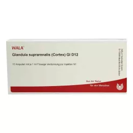 GLANDULA SUPRARENALES cortex GL D 12 Ampullen, 10X1 ml