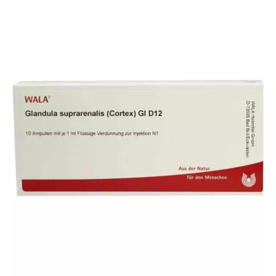 GLANDULA SUPRARENALES cortex GL D 12 Ampullen, 10X1 ml GLANDULA SUPRARENALES cortex GL D 12 Ampullen, 10X1 ml
