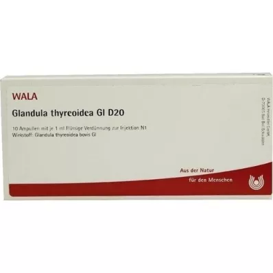 GLANDULA THYREOIDEA GL D 20 Ampullen, 10X1 ml