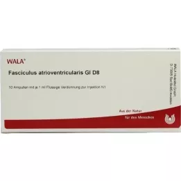 FASCICULUS atrioventricularis GL D 8 Ampullen, 10X1 ml