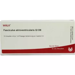 FASCICULUS atrioventricularis GL D 8 Ampullen, 10X1 ml