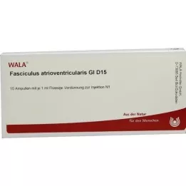 FASCICULUS atrioventricularis GL D 15 Ampullen, 10X1 ml