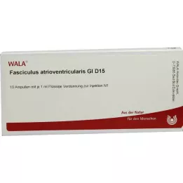 FASCICULUS atrioventricularis GL D 15 Ampullen, 10X1 ml