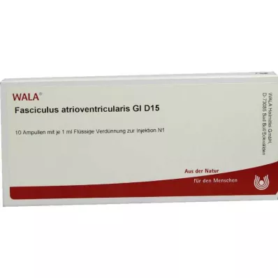 FASCICULUS atrioventricularis GL D 15 Ampullen, 10X1 ml
