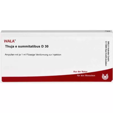 THUJA E SUMMITATIBUS D 30 Ampullen, 10X1 ml
