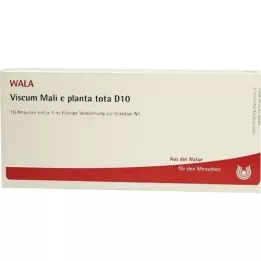 VISCUM MALI e planta tota D 10 Ampullen, 10X1 ml