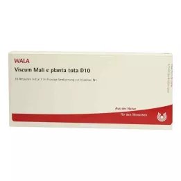 VISCUM MALI e planta tota D 10 Ampullen, 10X1 ml