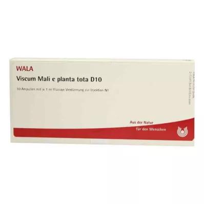 VISCUM MALI e planta tota D 10 Ampullen, 10X1 ml
