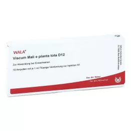 VISCUM MALI e planta tota D 12 Ampullen, 10X1 ml