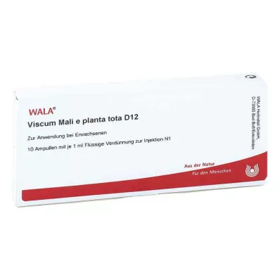 VISCUM MALI e planta tota D 12 Ampullen, 10X1 ml
