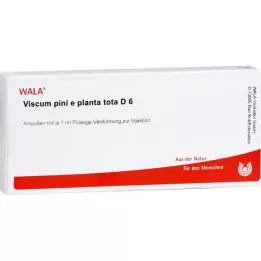 VISCUM PINI e planta tota D 6 Ampullen, 10X1 ml