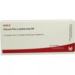 VISCUM PINI e planta tota D 8 Ampullen, 10X1 ml