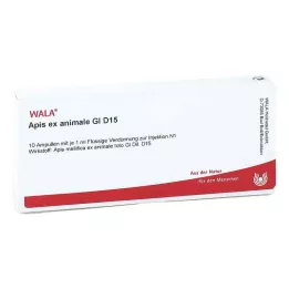 APIS EX animale GL D 15 Ampullen, 10X1 ml