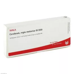CEREBRUM REGIO motorica GL D 30 Ampullen, 10X1 ml