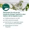 SIDROGA Fenchel Anis Kümmel Tee Filterbeutel, 20X2.0 g