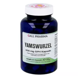 YAMSWURZEL 500 mg GPH Kapseln, 120 St